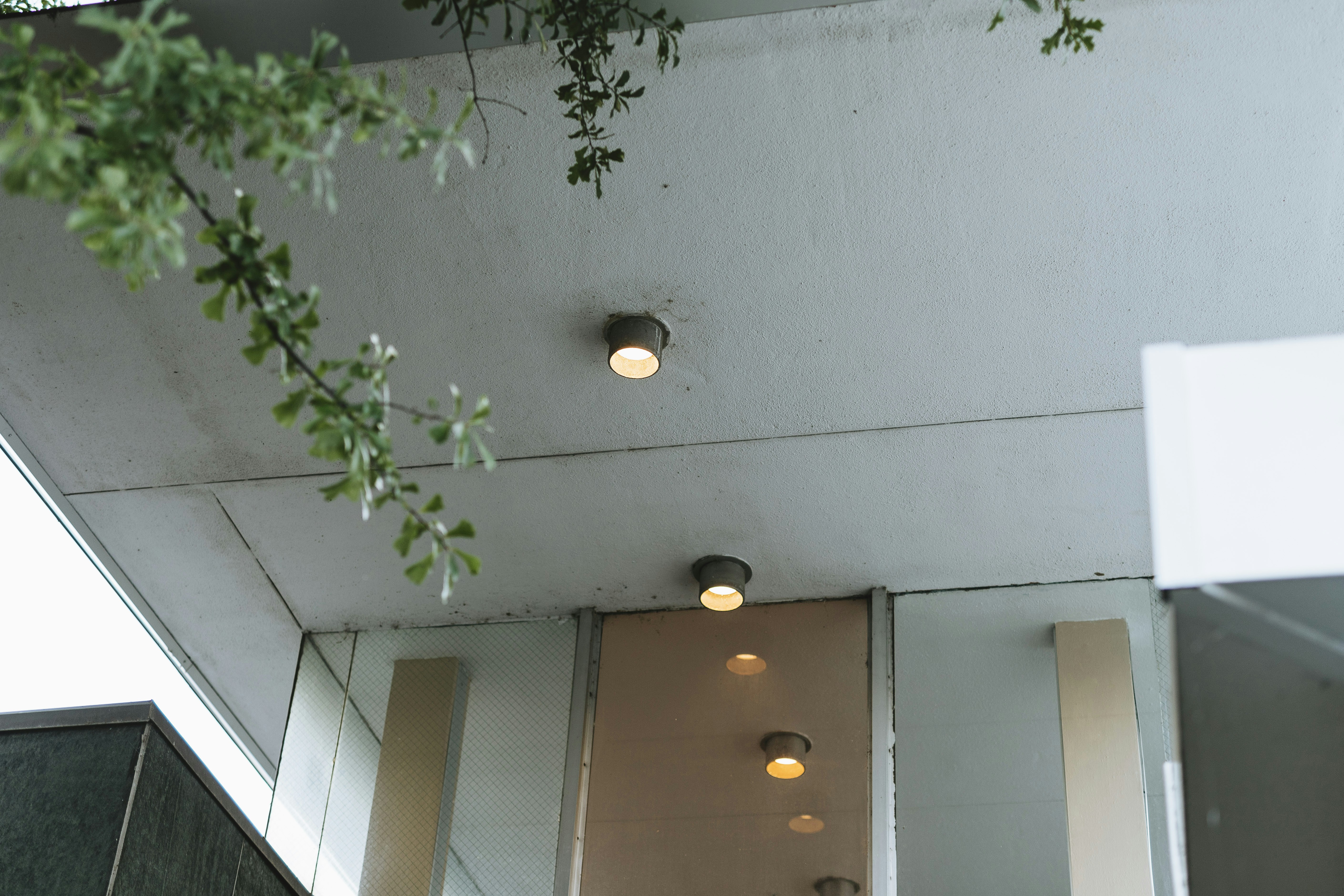 Ycp Dining Hall Menu