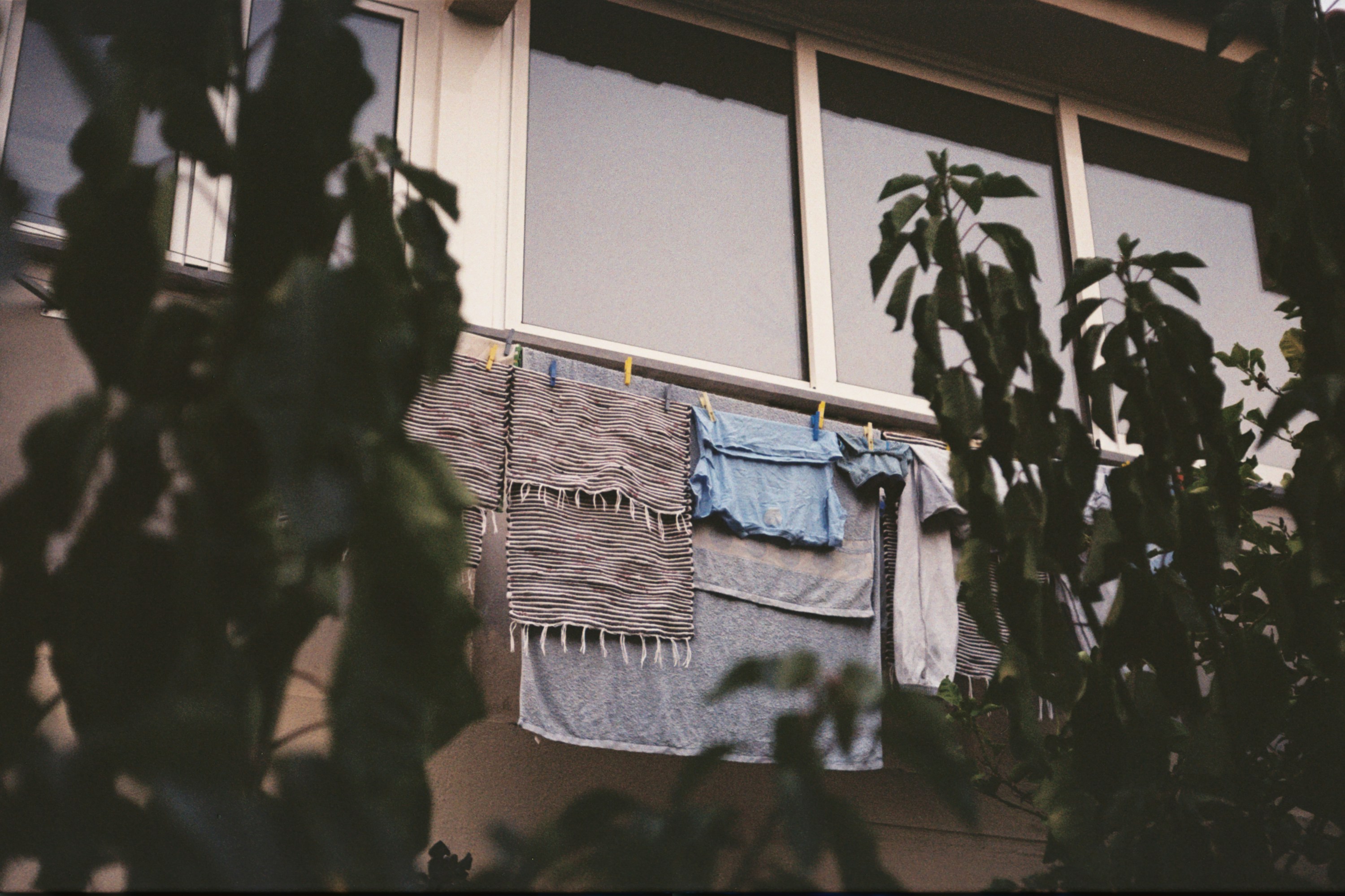 Photo by portuguesegravity