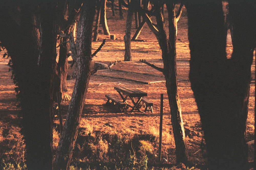 茶色の木製のピクニックテーブルの浅い焦点の写真