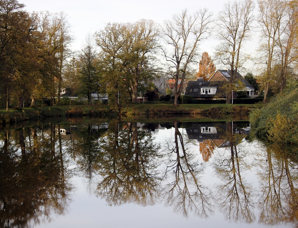 body of water and green trees during daytime