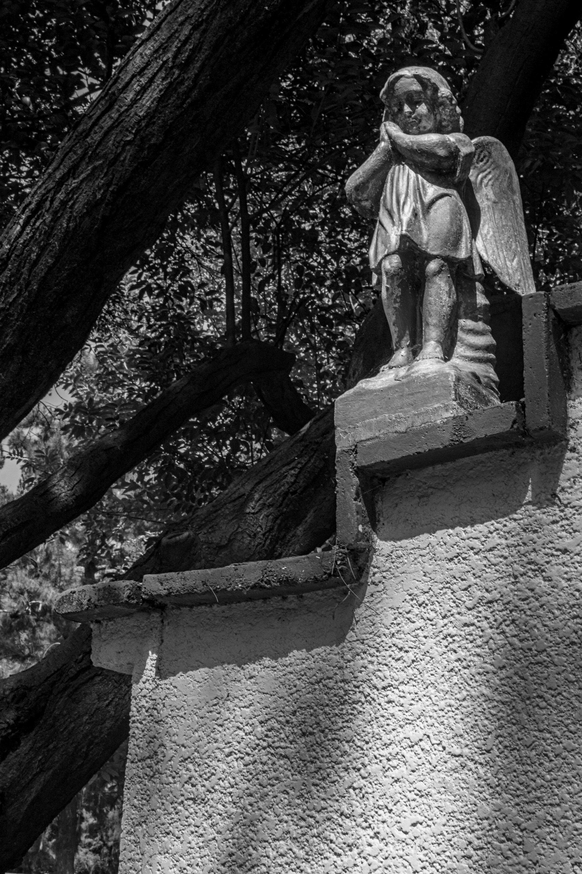 A black and white image featuring a stone angel statue resting on top of a textured wall. The statue has its hands together as if in prayer, with wings extending from its back. In the background, large tree branches and leaves create a shadowy and intricate backdrop.