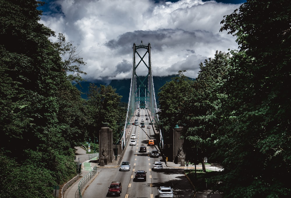 vehicles on bridge near trees