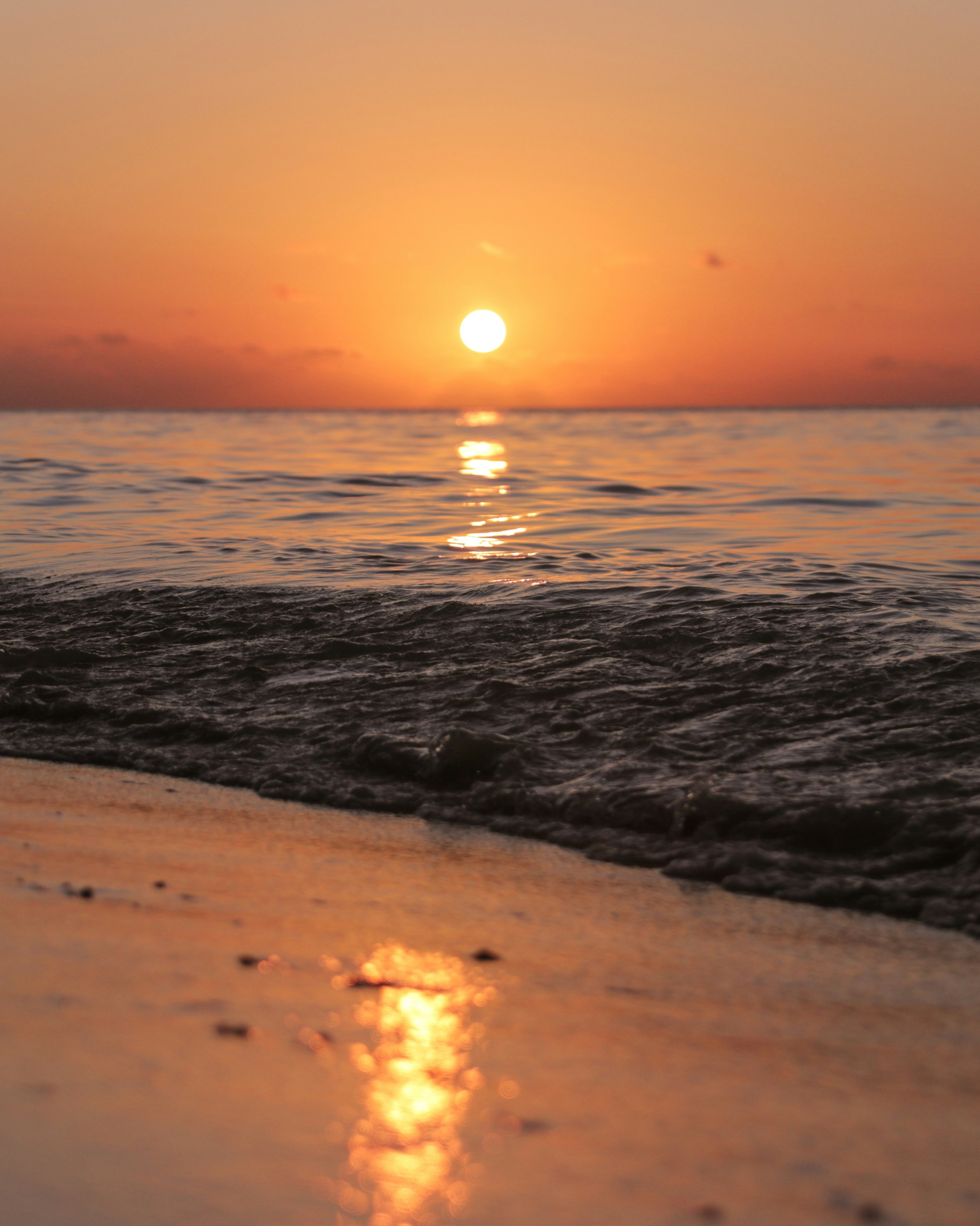 Photo by elvinphareem