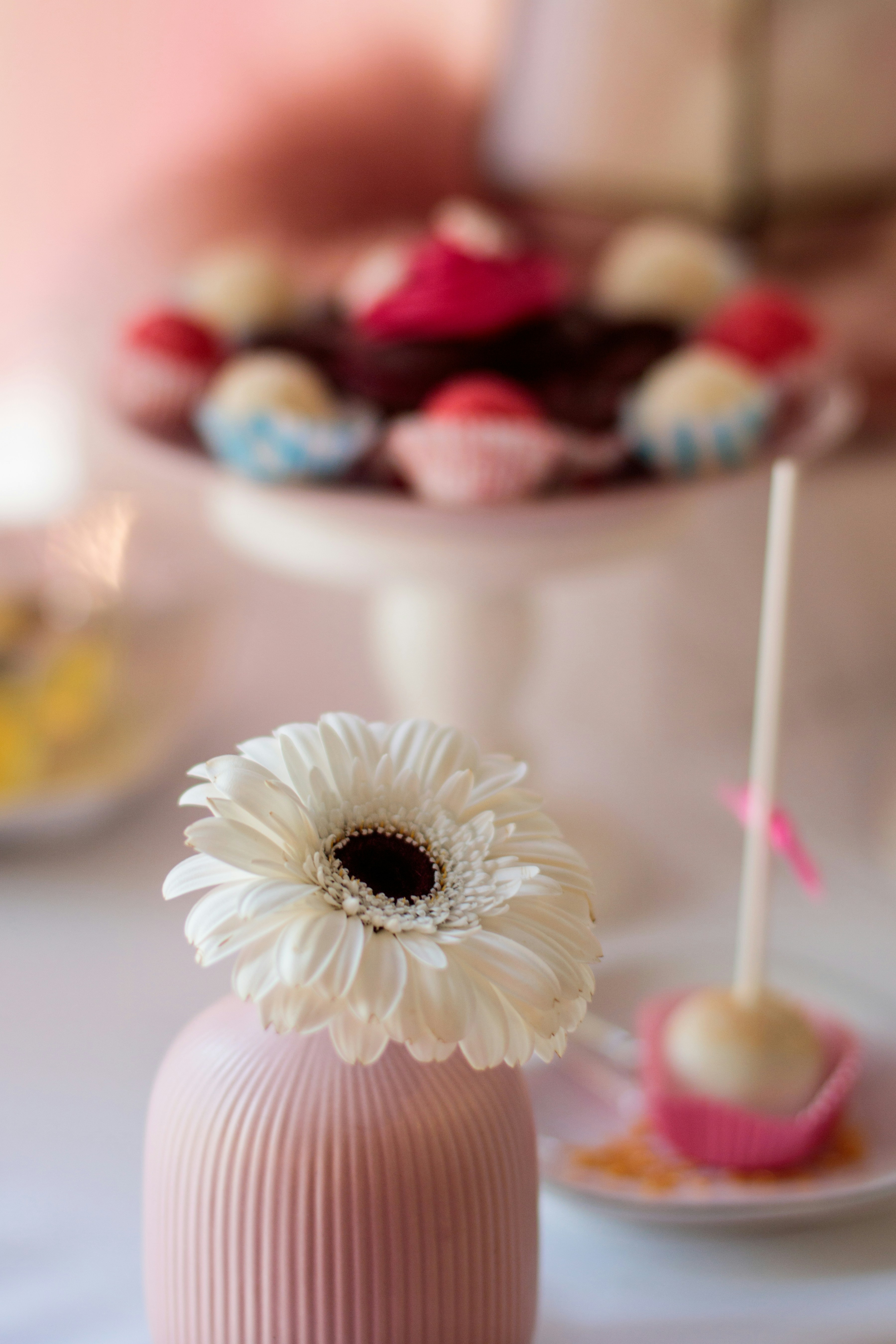 Photo by portuguesegravity