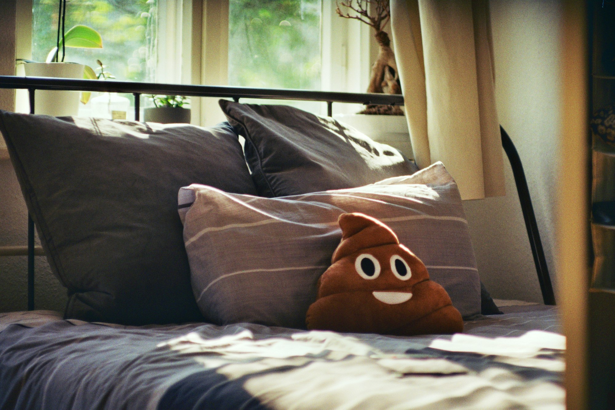 Picture of a freshly made bed with decorative pillows in the morning