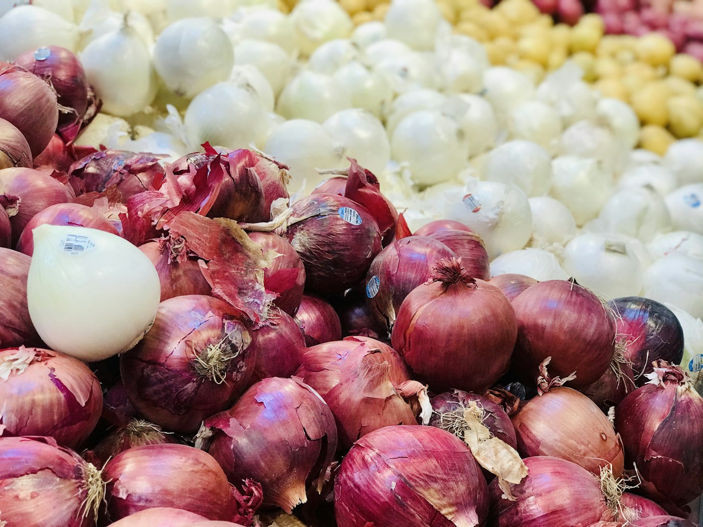 image of Onions