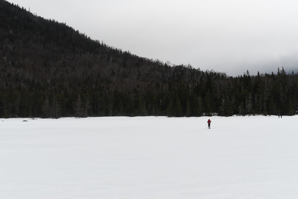 snow filed under cloudy sky