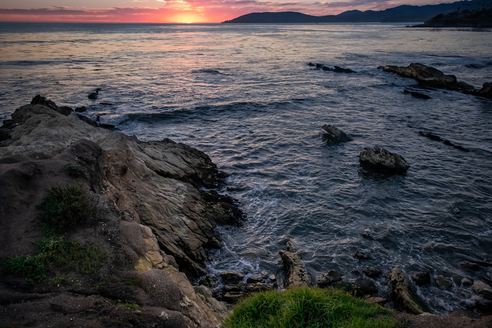 ocean during daytime