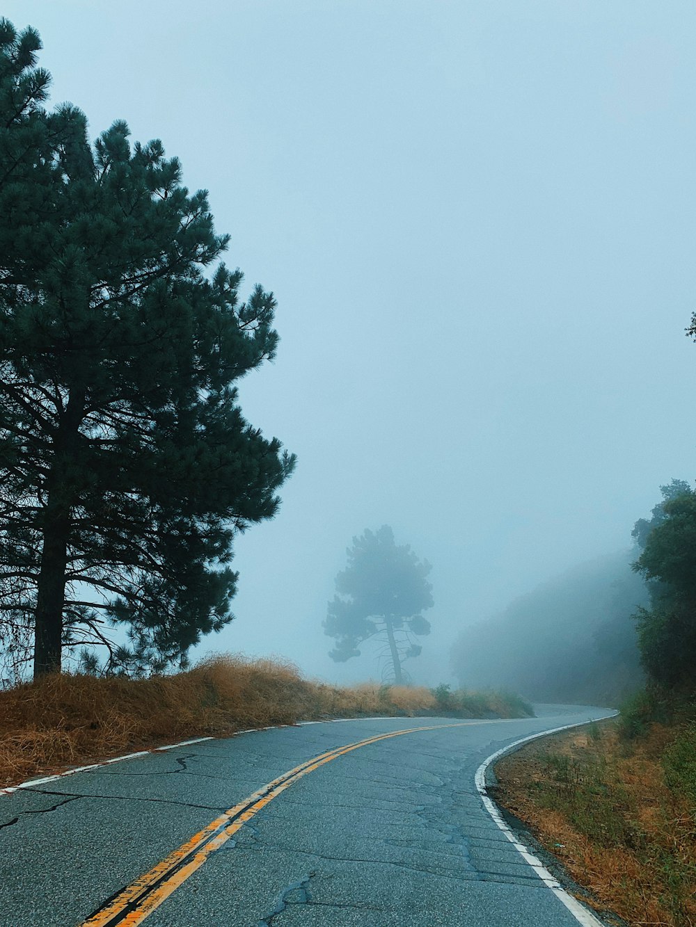 black asphalt road