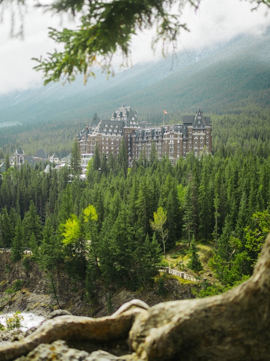 Banff Springs Hotel things to do in Banff