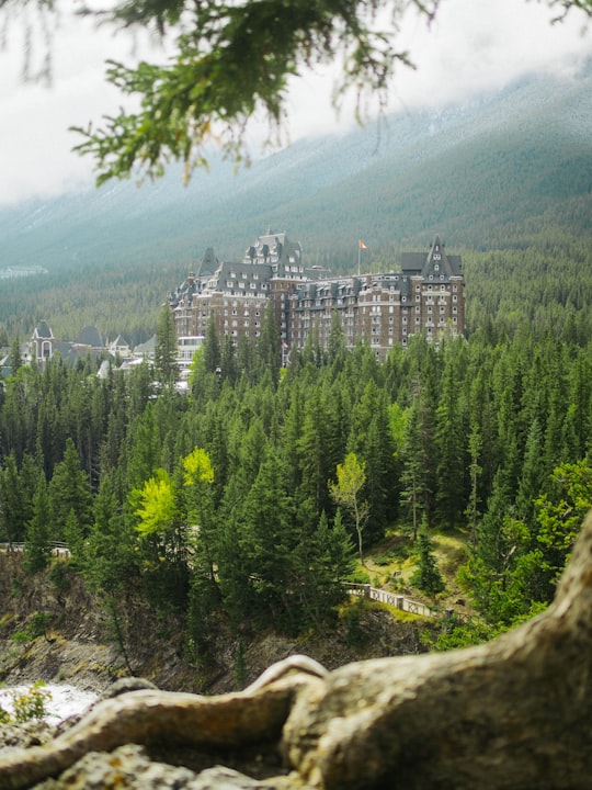 Banff Springs Hotel things to do in Banff,