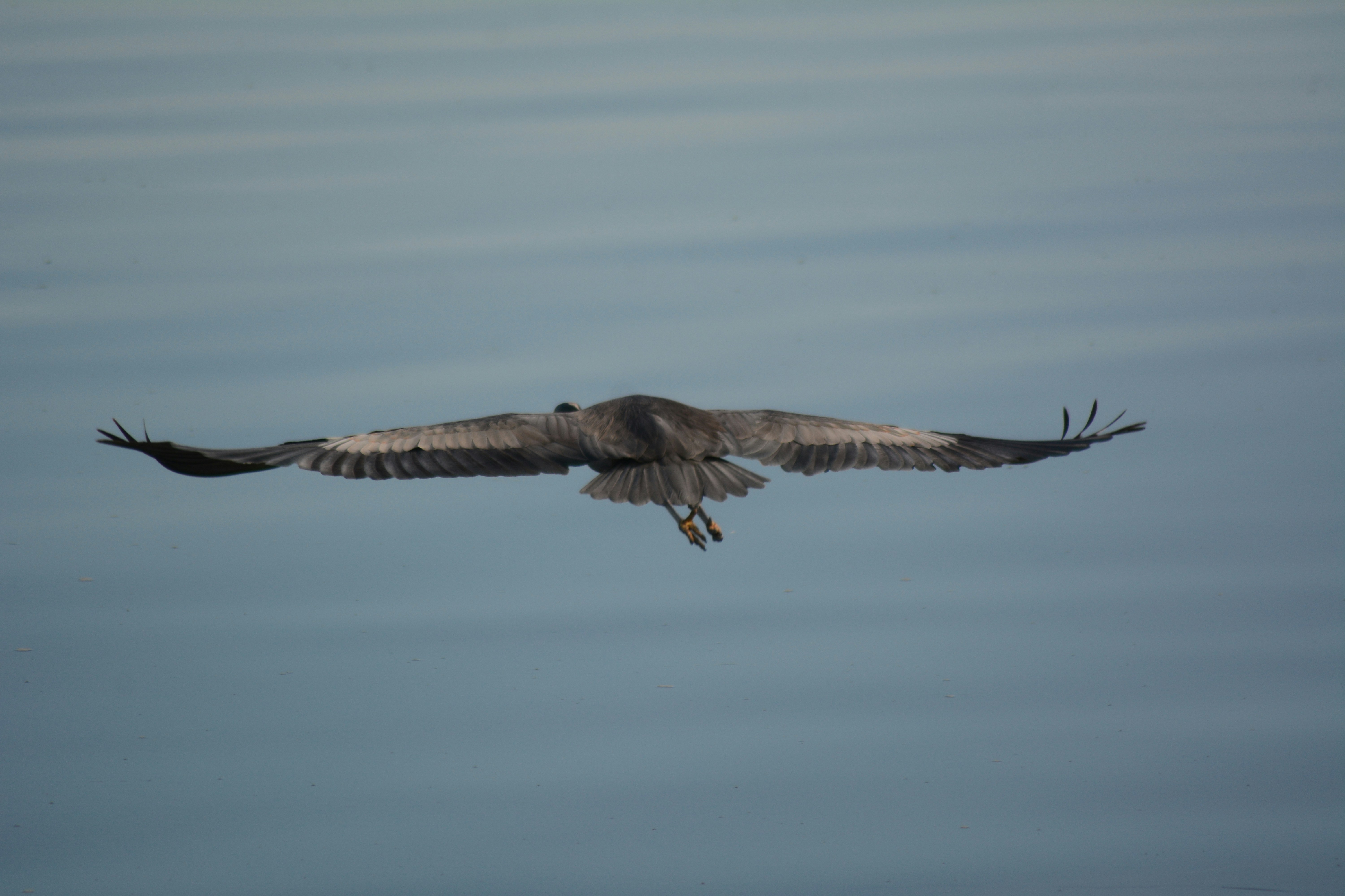 Photo by bryanhanson