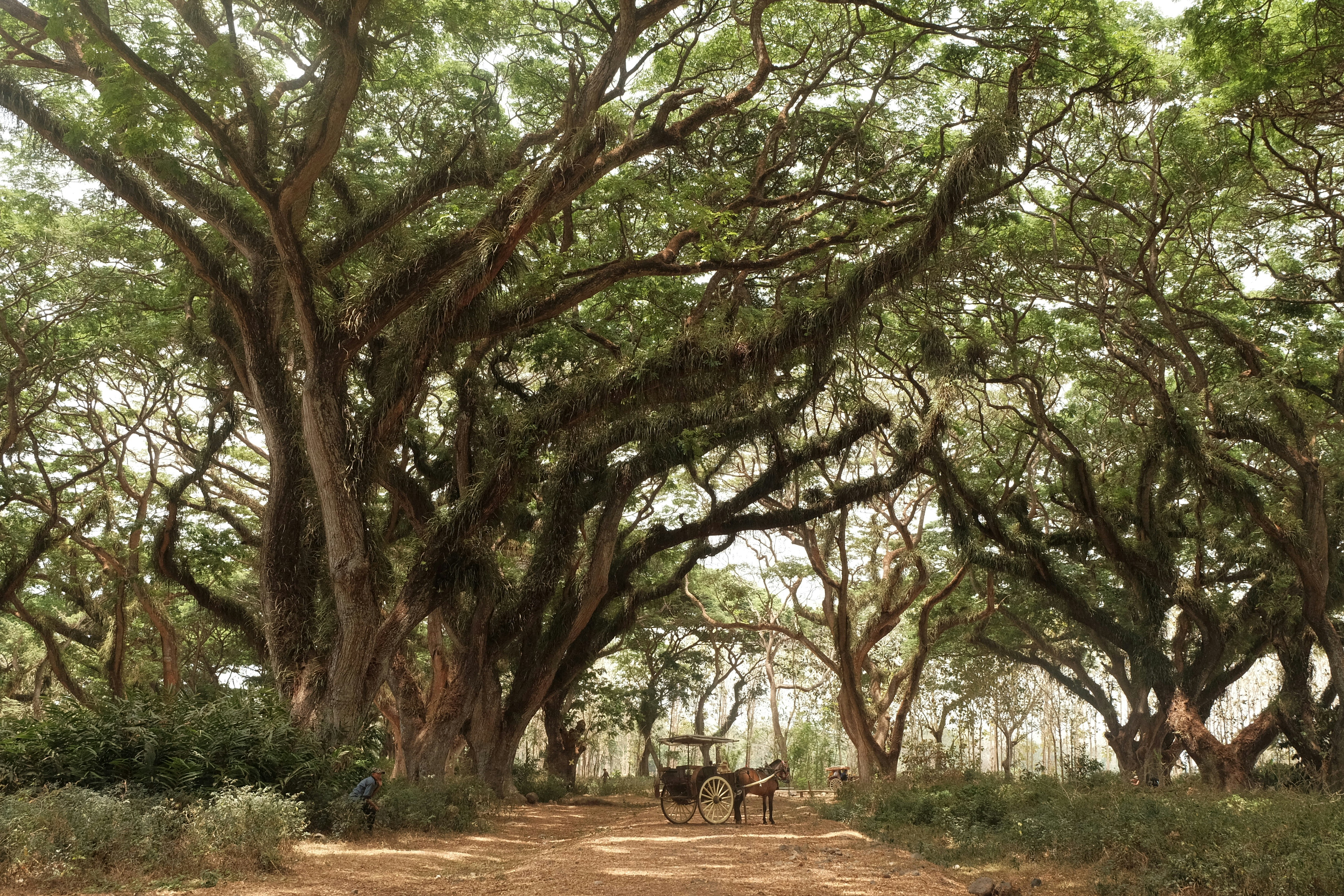 Photo by megacaesaria