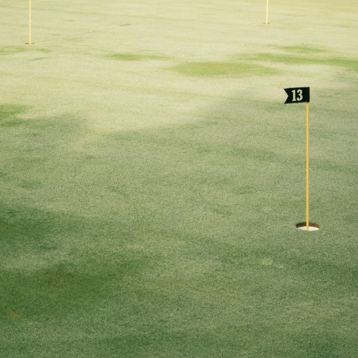 Golf course fairway with flags showing distance to the pin, ideal for rangefinder use