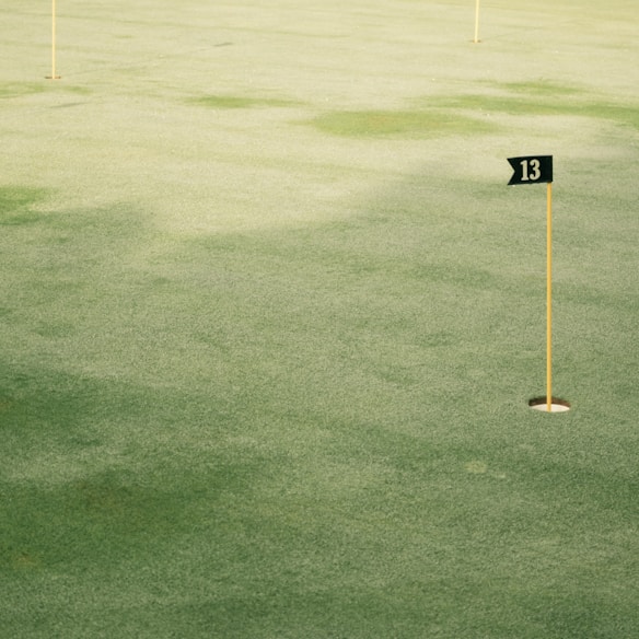 A golf green with several flagsticks, one marked with the number 13, standing in holes. The grass appears well-maintained and features a mix of darker and lighter green patches, suggesting different grass textures or lighting effects.