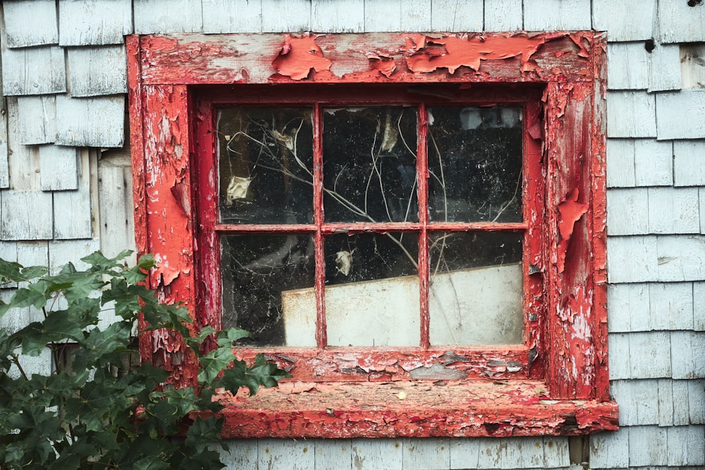 red framed glass window