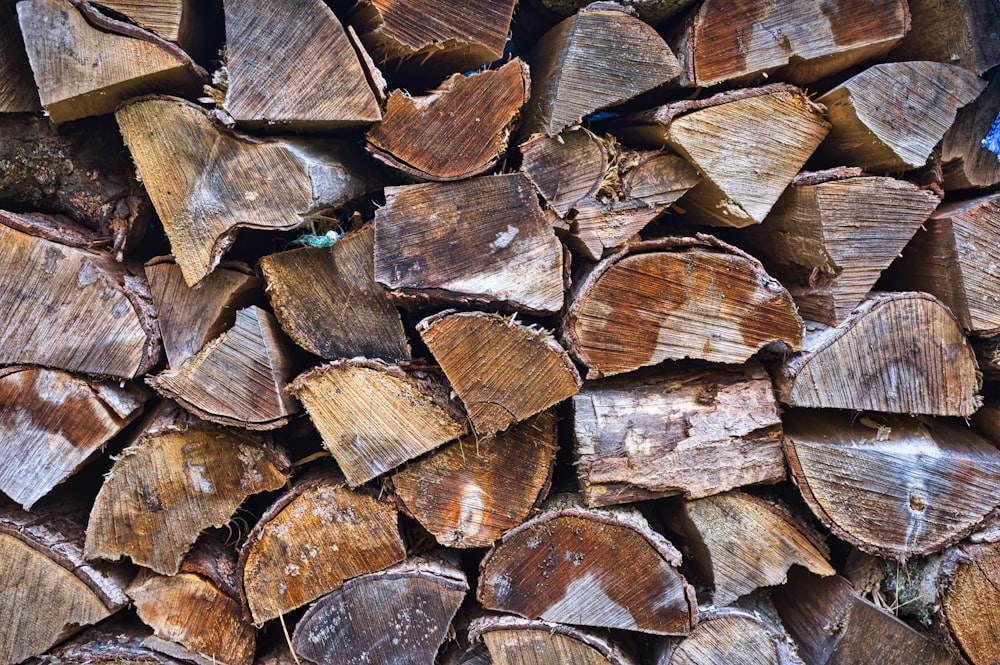 lot de bois de chauffage brun