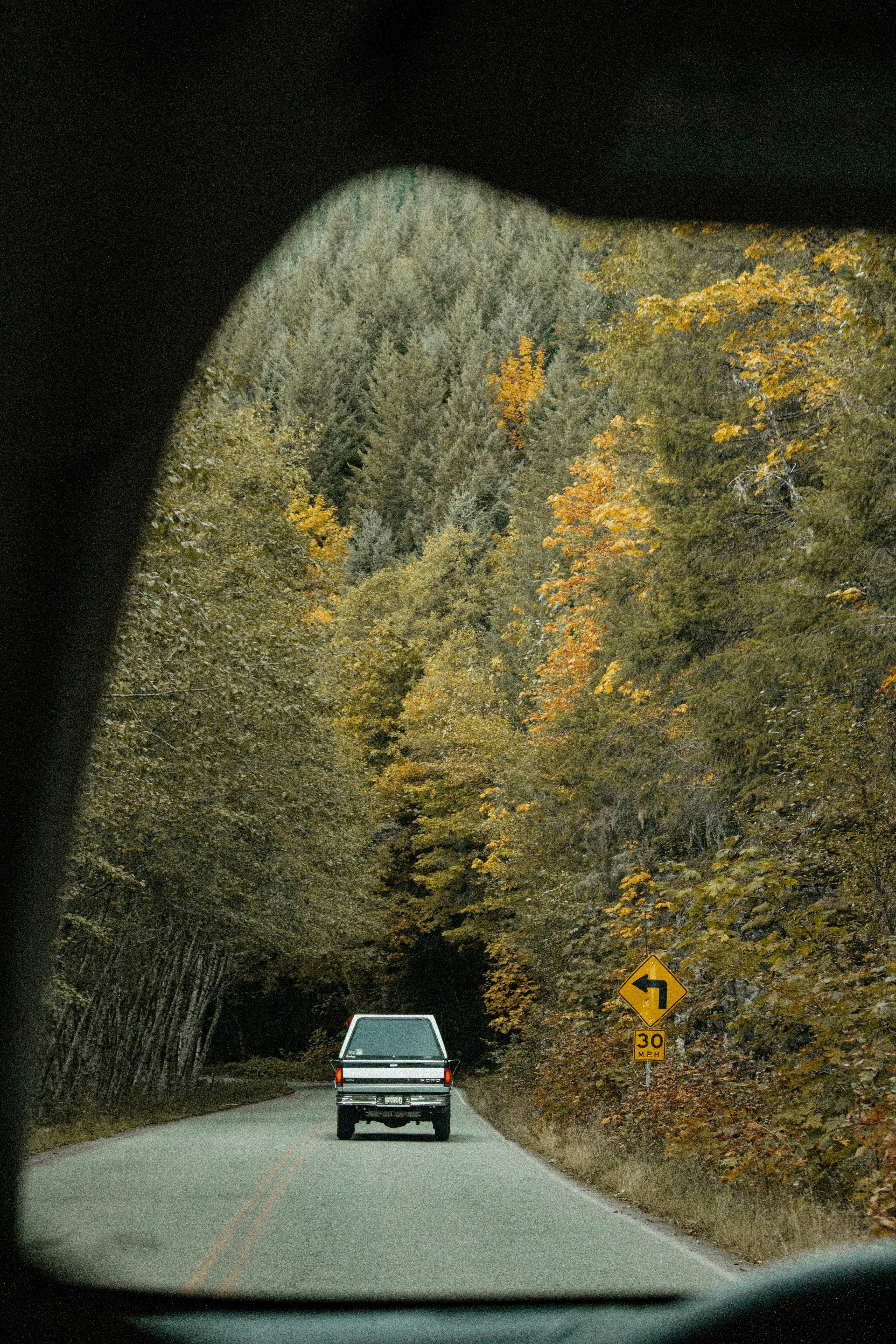 vehicle on road near trees
