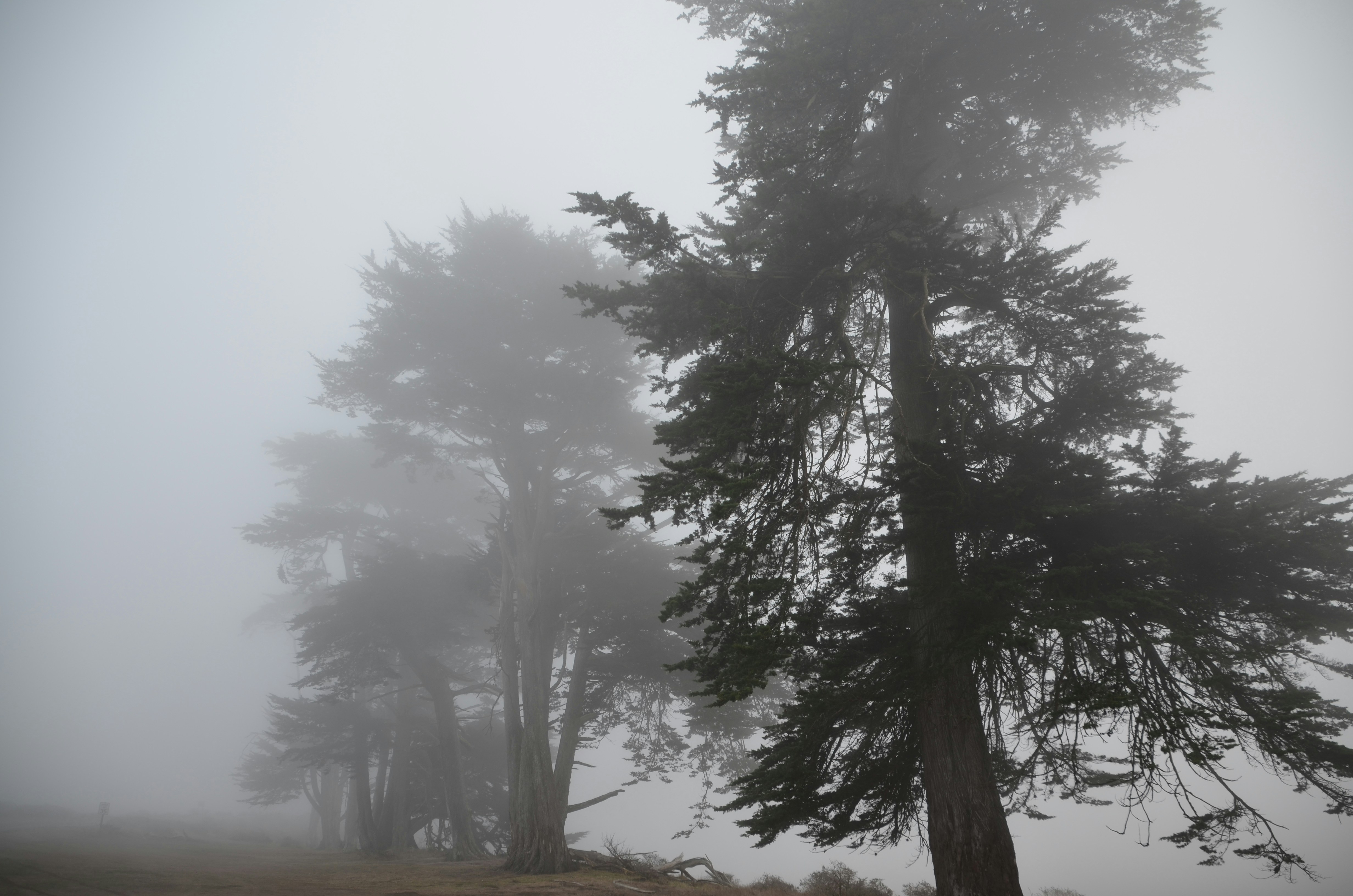 Photo by chapelbeach