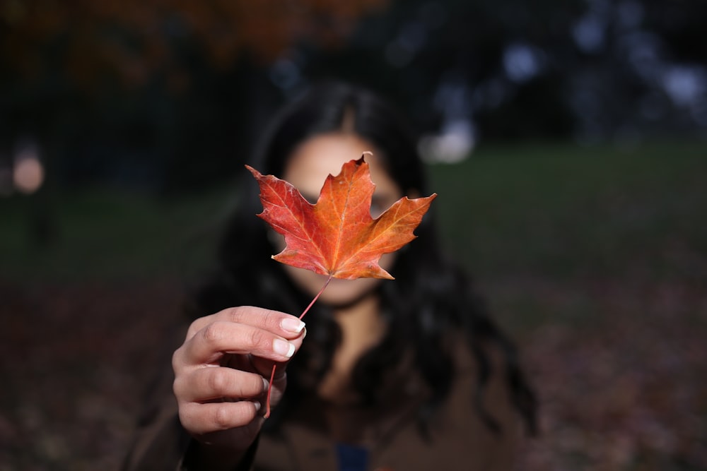 woman holding brown maple leaf