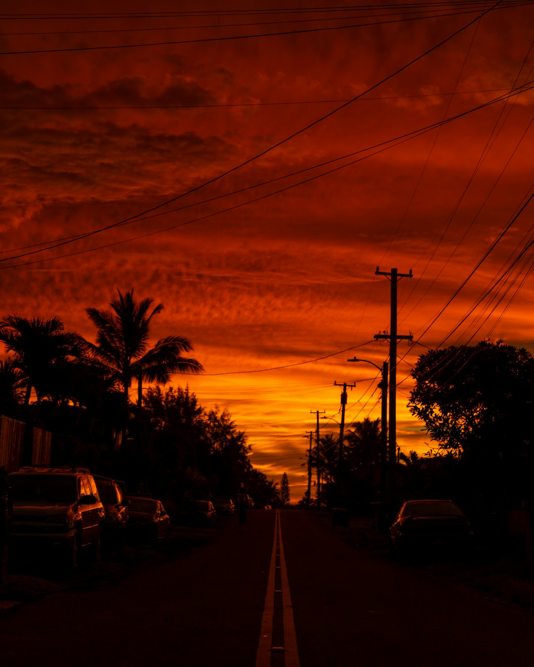 different vehicles on road under orange sky during daytime