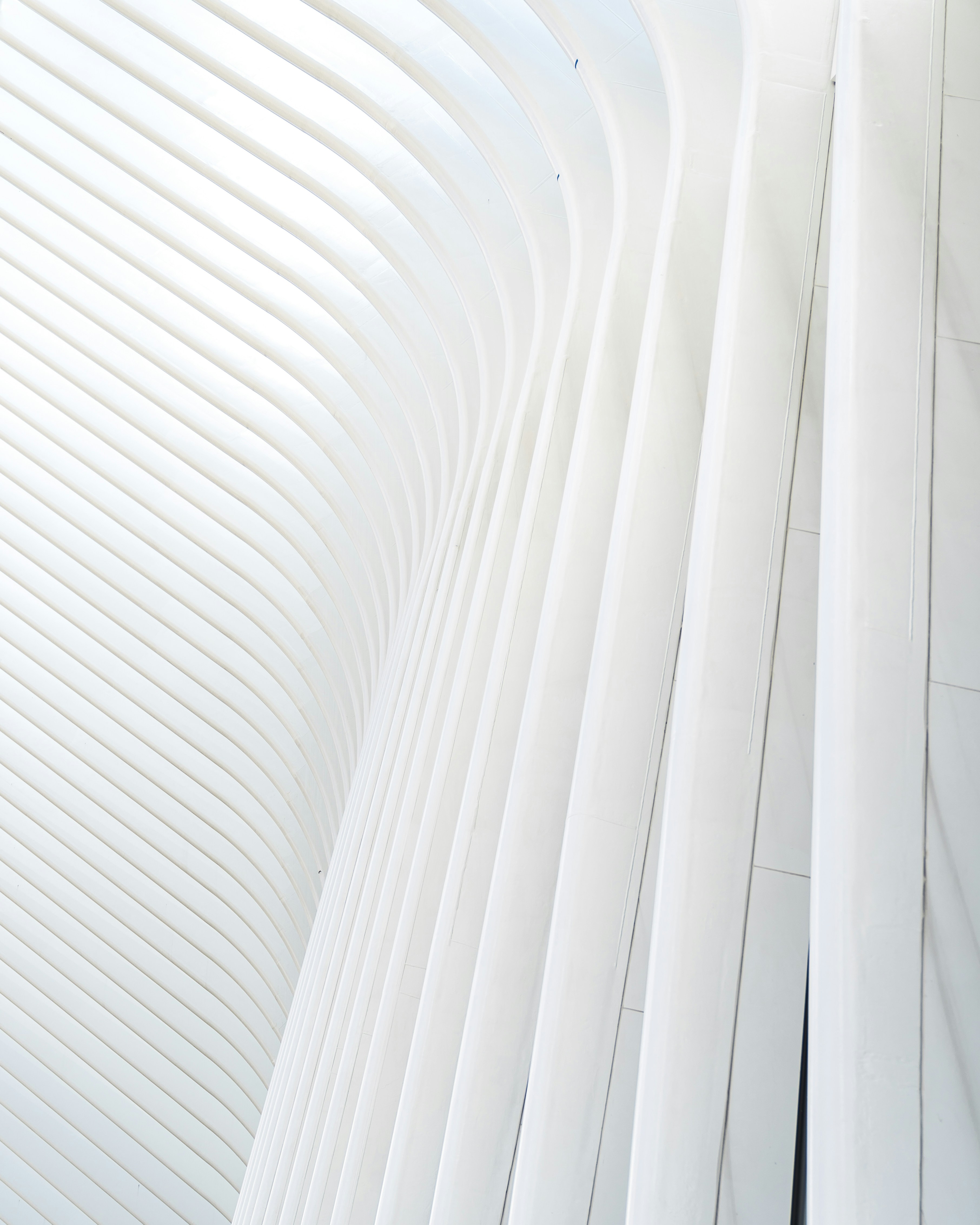 Photo by joshmillerdp