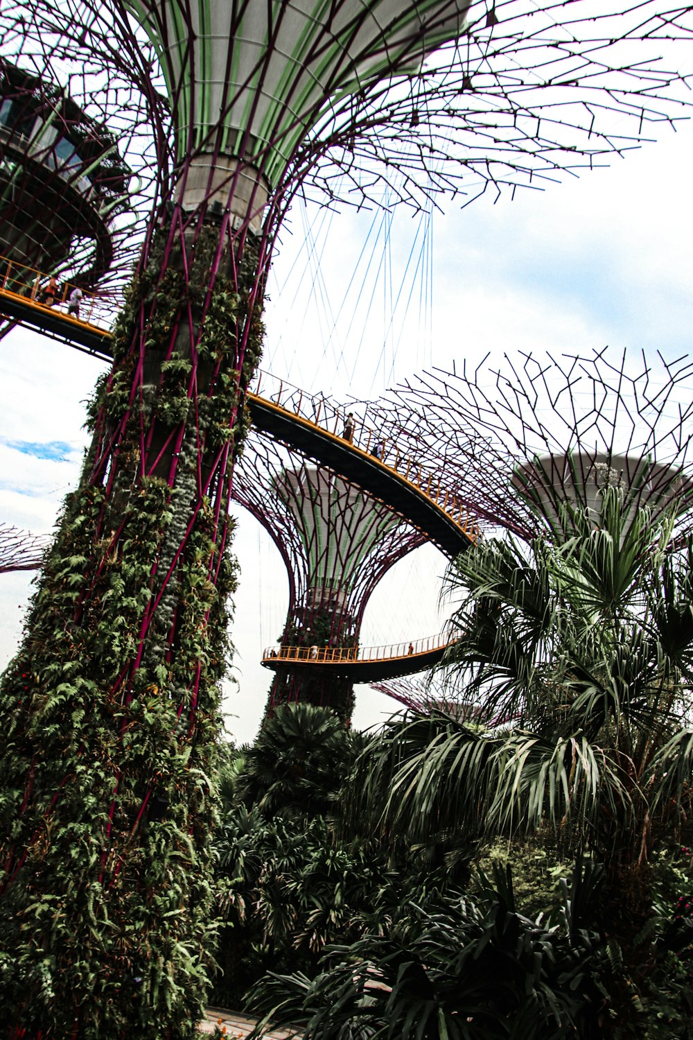 Gardens by the Bay in Singapore under white and blue sky during daytime
