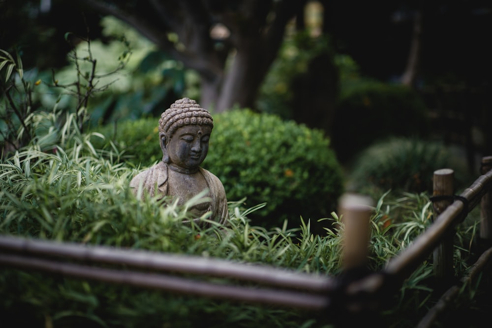 gray Buddha near statue near green plants