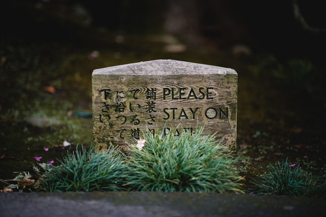 closeup photo of Please Stay on signage