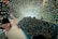 A person is holding a smartphone capturing a dazzling tunnel of lights that creates a mesmerizing visual effect. Lights form a circular pattern and are reflected on the phone's screen. Another person is seen in the background, appearing to enjoy the spectacle.