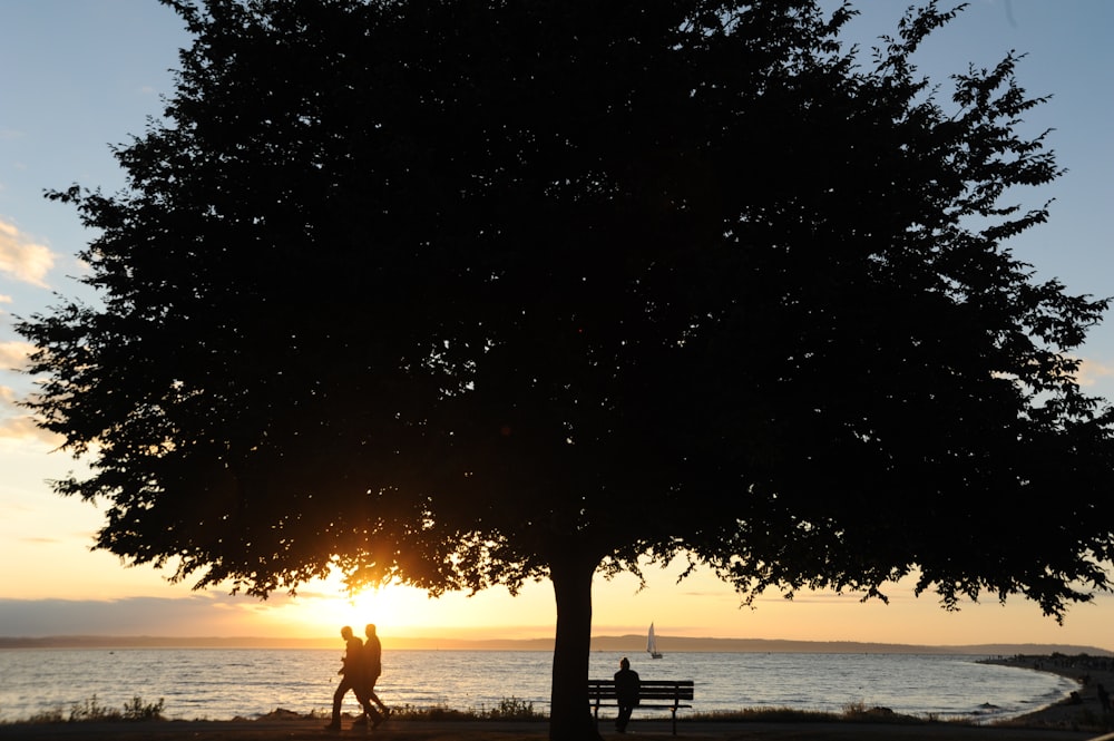 a couple of people standing next to a tree