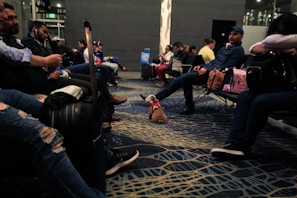 People seated in an airport lounge, some using electronic devices, with luggage around. A small dog is also present on the floor wearing a pink harness. The flooring has a patterned design, and the lighting is dim.