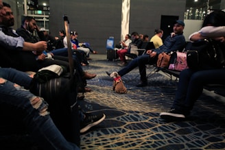 People seated in an airport lounge, some using electronic devices, with luggage around. A small dog is also present on the floor wearing a pink harness. The flooring has a patterned design, and the lighting is dim.