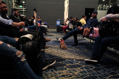 People seated in an airport lounge, some using electronic devices, with luggage around. A small dog is also present on the floor wearing a pink harness. The flooring has a patterned design, and the lighting is dim.