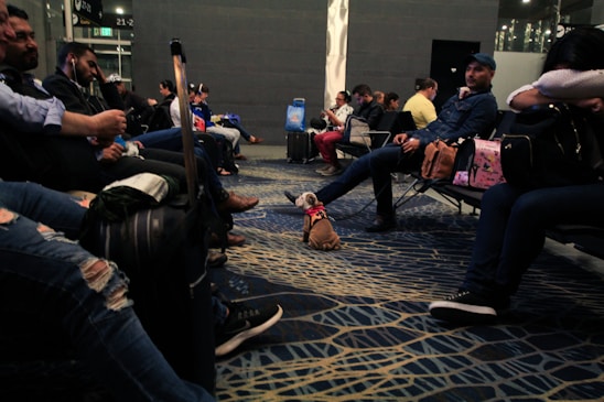 People seated in an airport lounge, some using electronic devices, with luggage around. A small dog is also present on the floor wearing a pink harness. The flooring has a patterned design, and the lighting is dim.