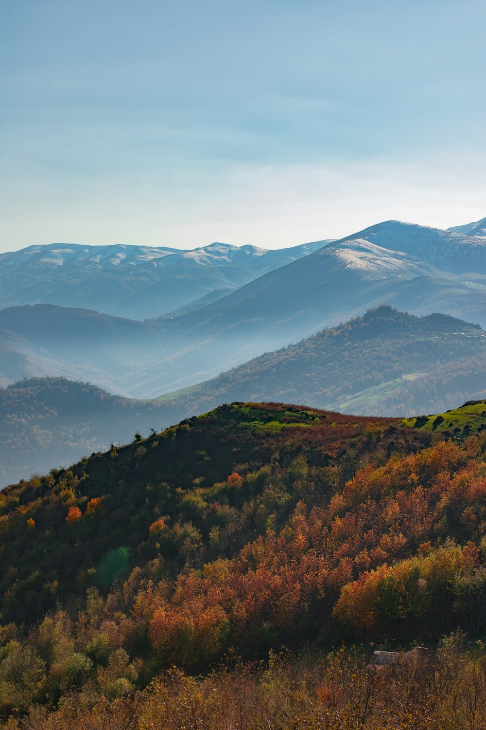 montanha e árvores