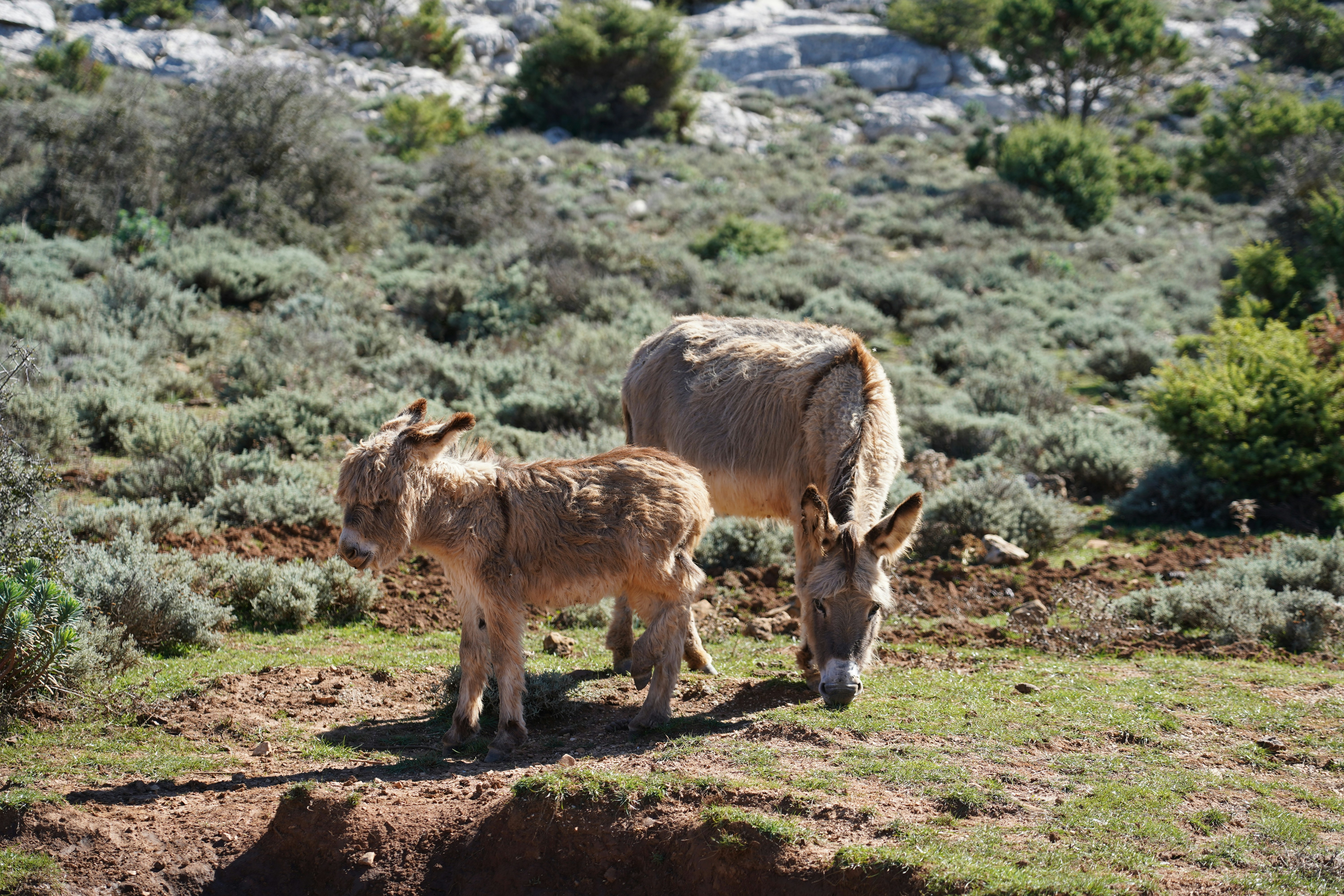 Photo by sardinien_blog