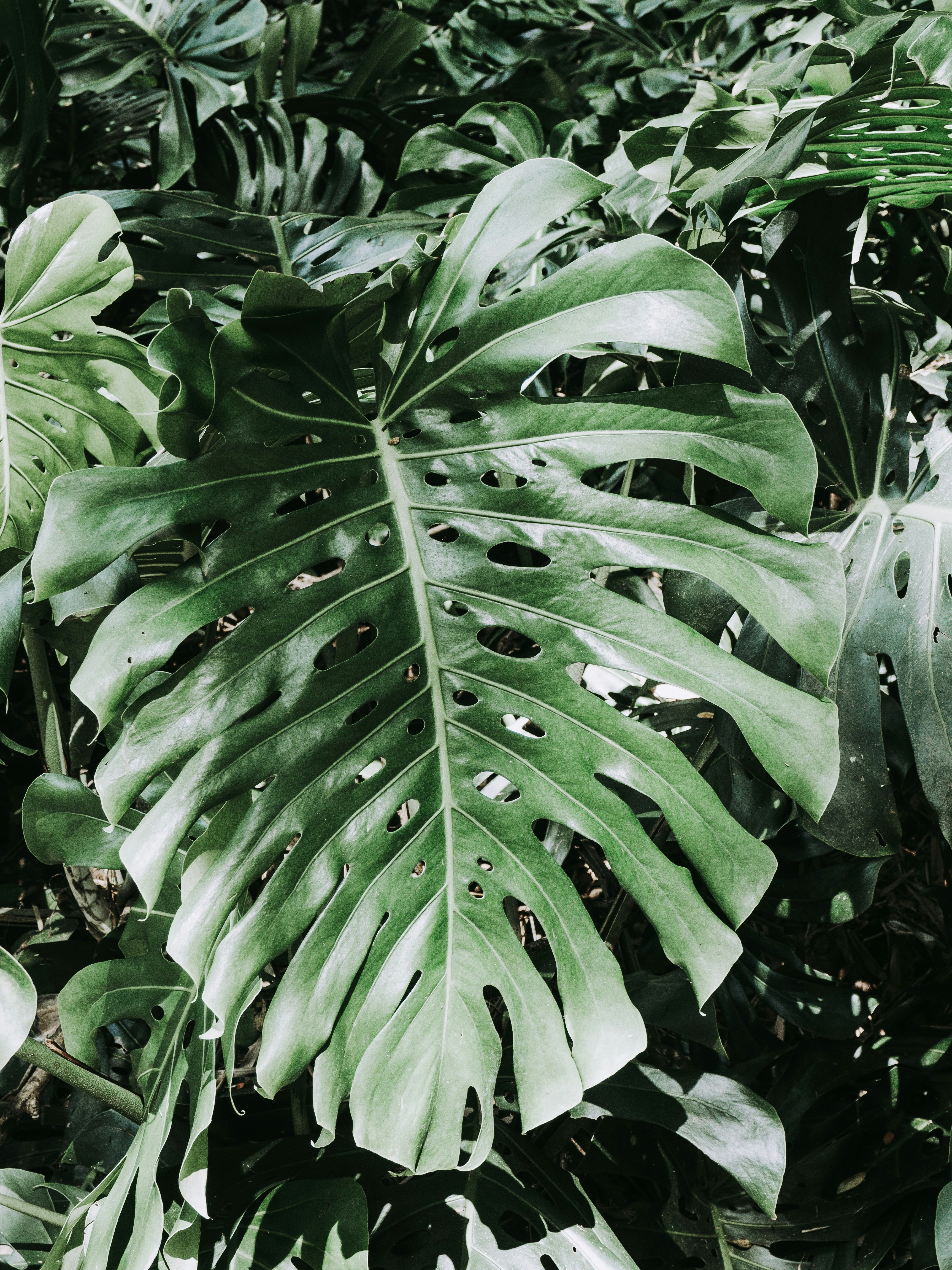 Photo by mrsfionasmallwood