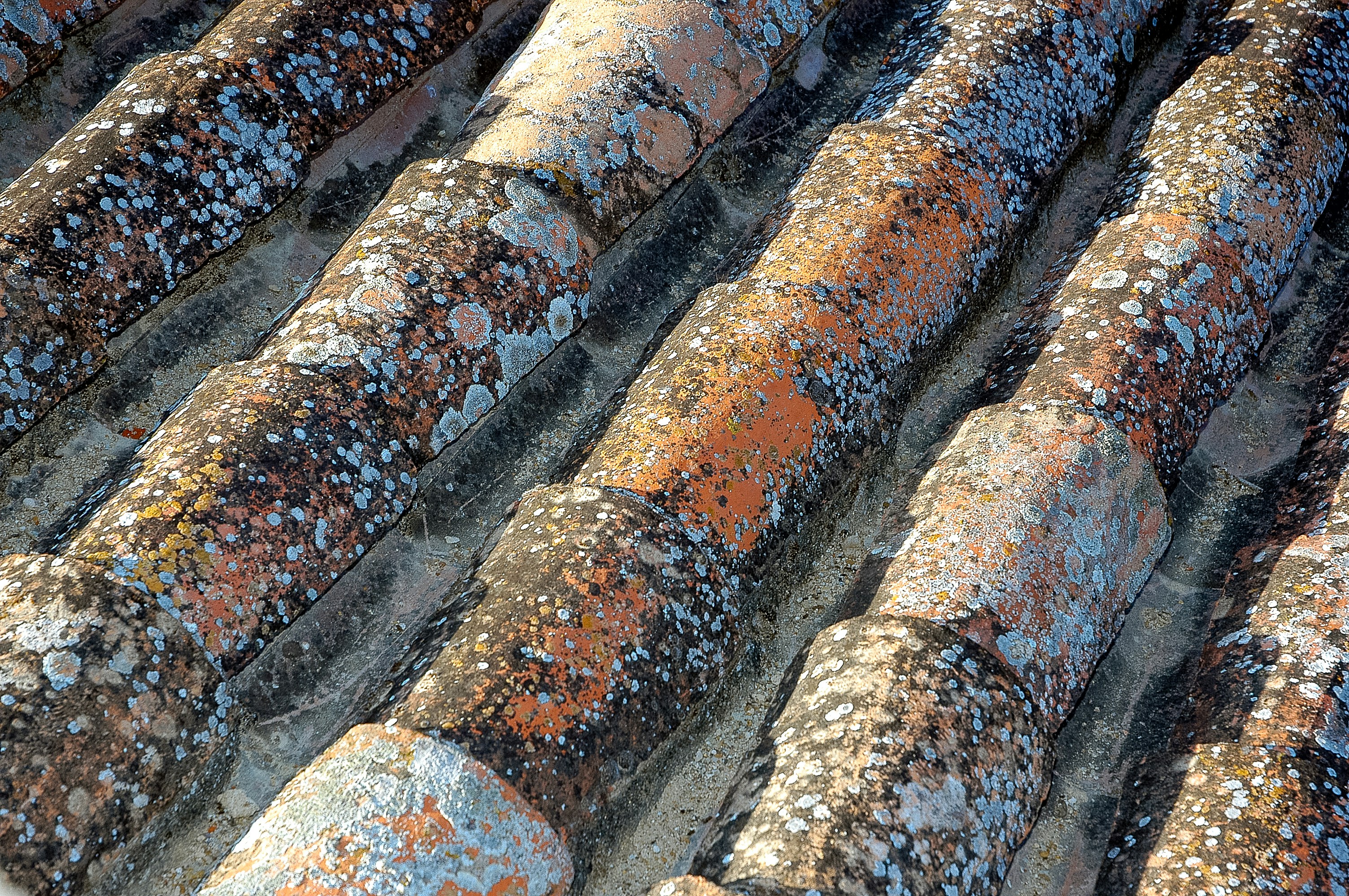 Sicherheitsmaßnahmen beim Aufbau einer Grillvorführung