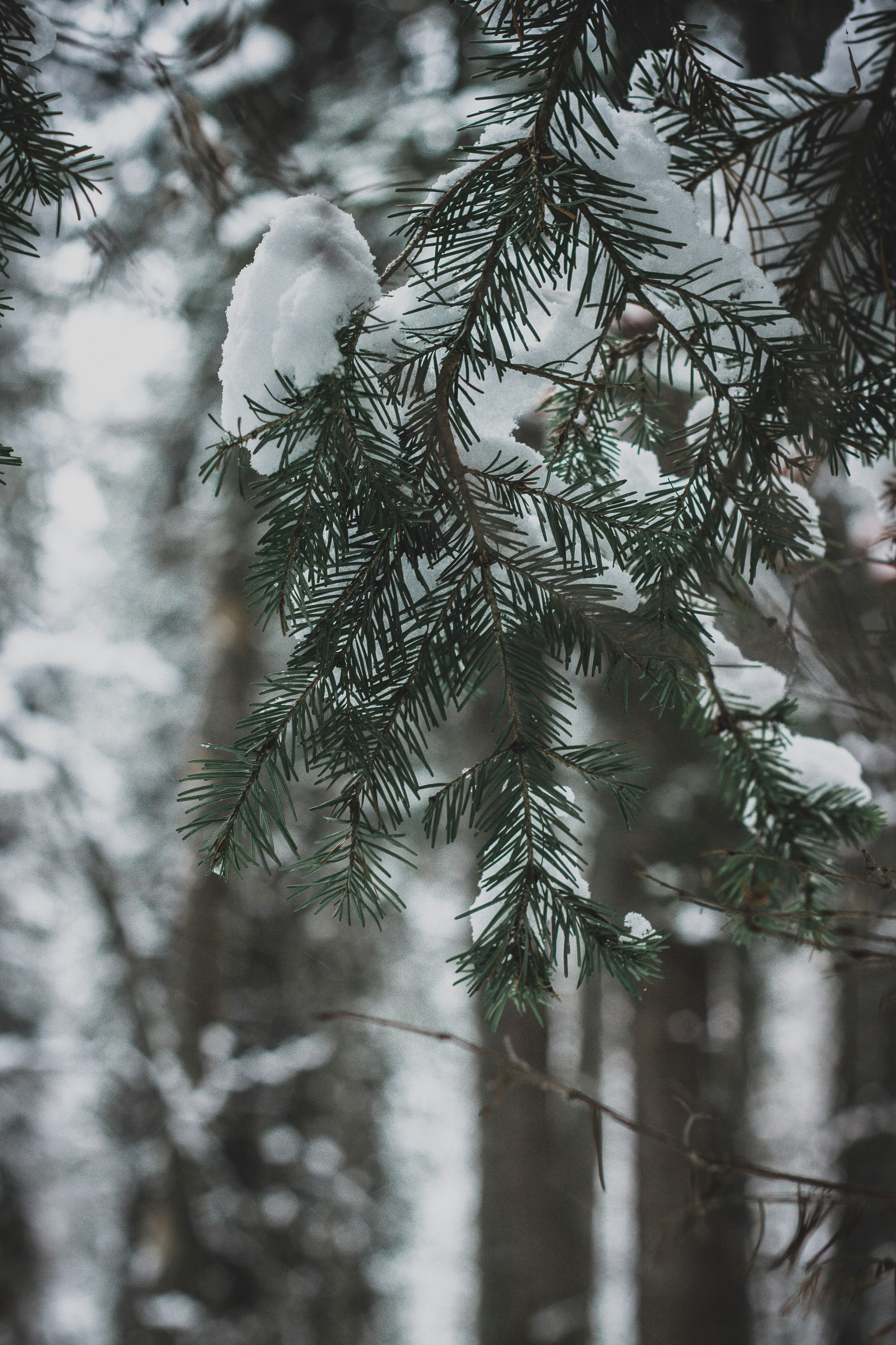 Photo by rolig_basseng