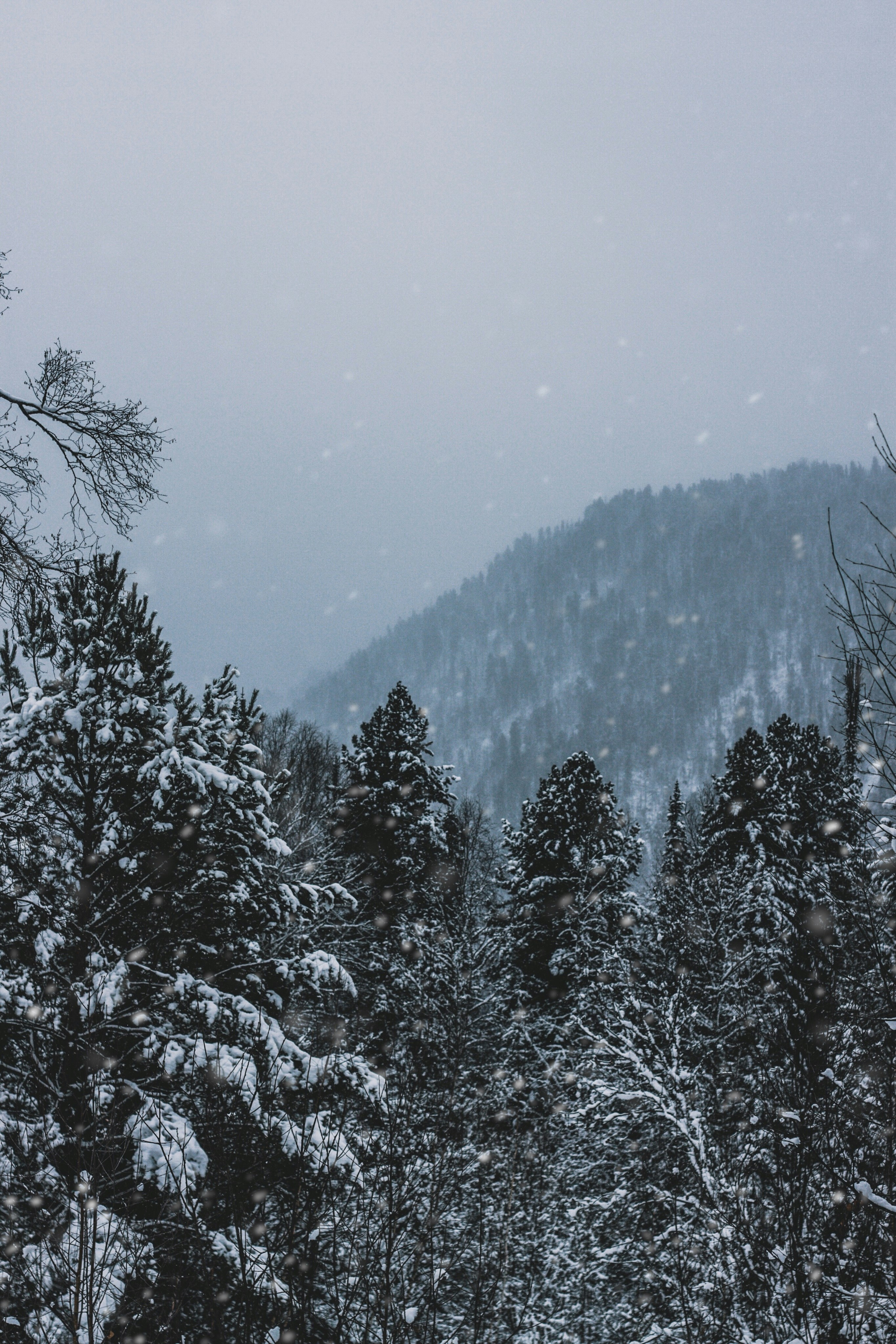 Photo by rolig_basseng