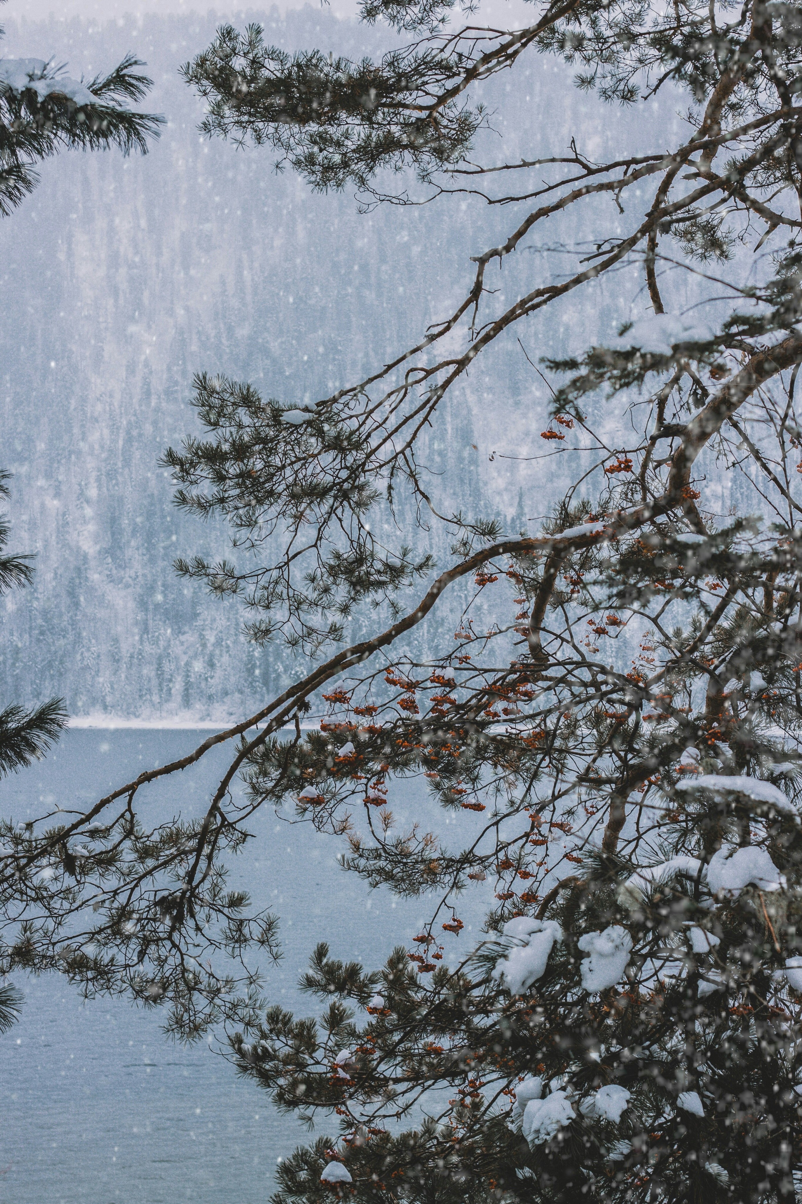 Photo by rolig_basseng