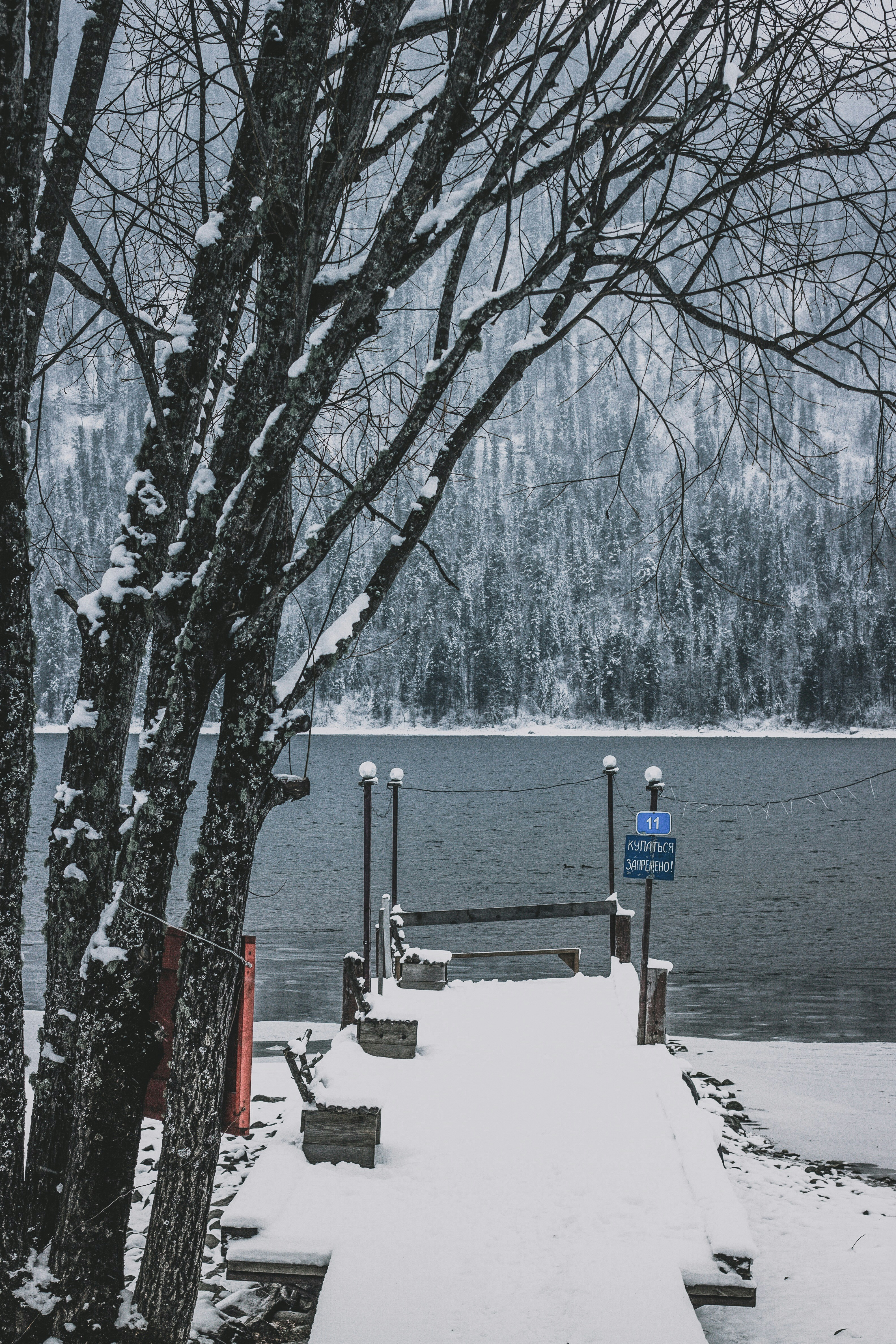 Photo by rolig_basseng