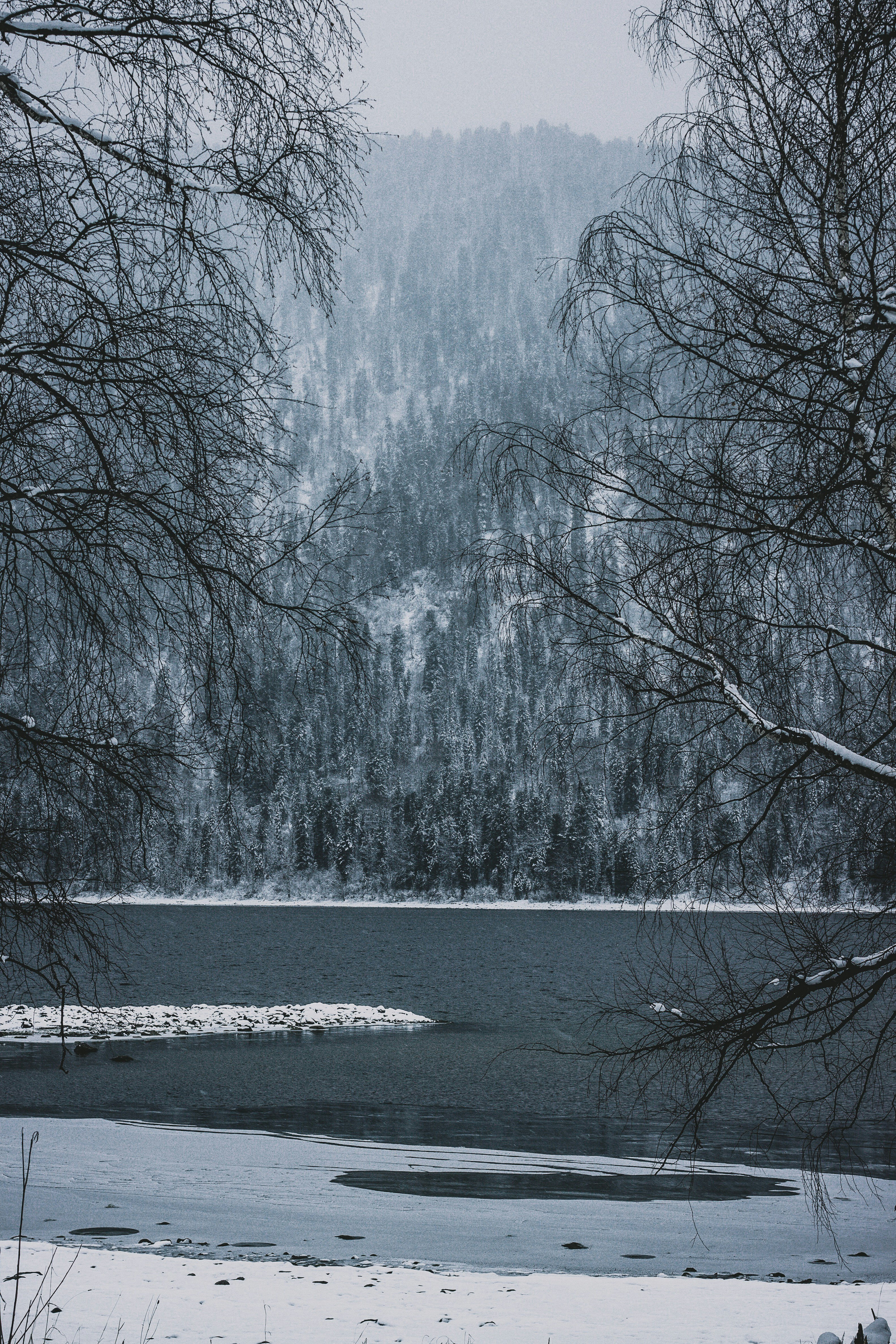 Photo by rolig_basseng