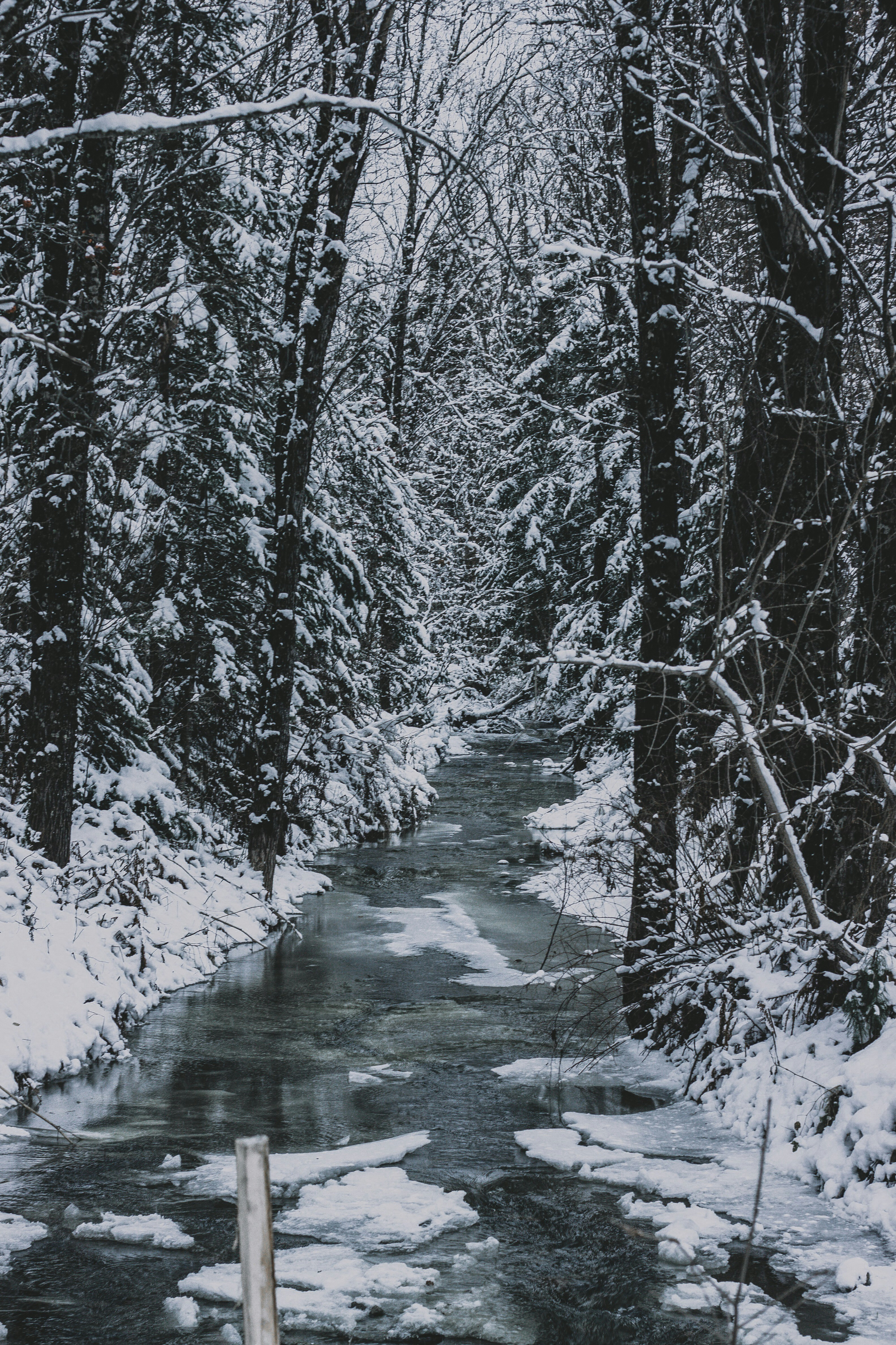 Photo by rolig_basseng