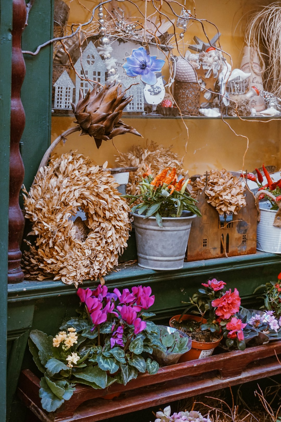 pots of flowers and plants on gray shelf