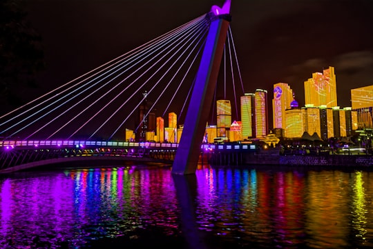 cable-stayed bridge at night in Qingdao China