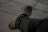 A close-up view of a single brown dress shoe with laces, resting against a dark pant leg. The background is blurred, emphasizing the details of the leather and texture of the shoe.