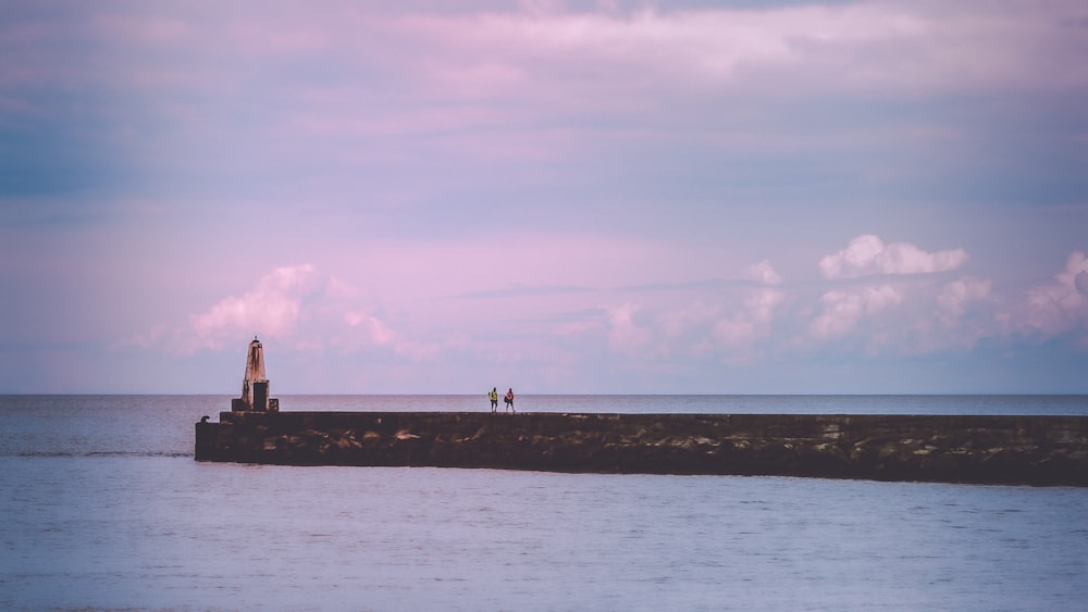 brown ocean dock photograph