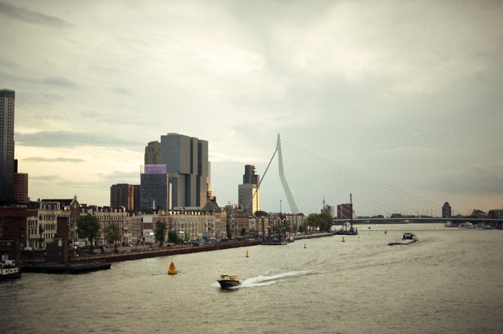 city with high-rise buildings viewing body of water under white and gray sky during daytime